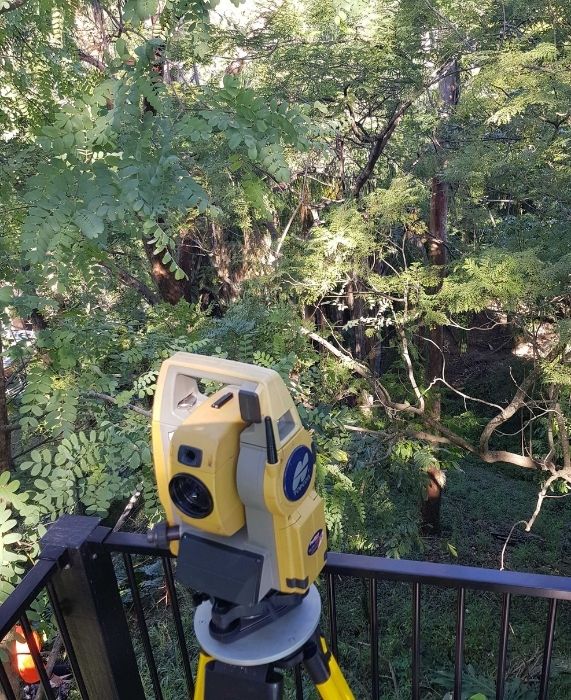 Surveying backyard from verandah.