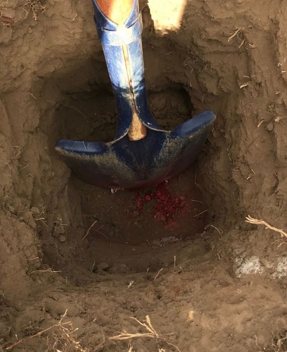 Shovel in ditch.